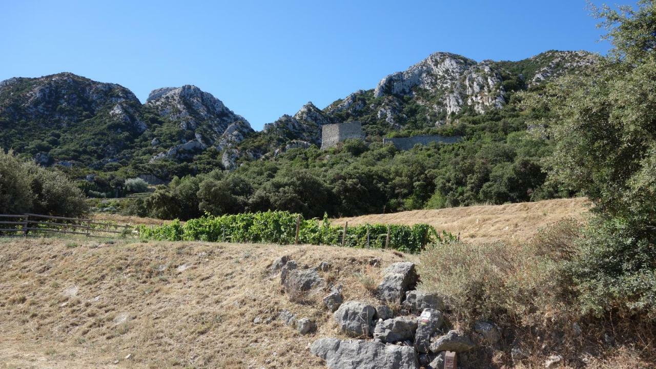 Les Lavandins-Gite Frederic Saint-Rémy-de-Provence Eksteriør bilde