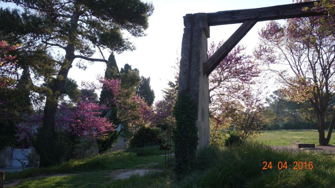 Les Lavandins-Gite Frederic Saint-Rémy-de-Provence Eksteriør bilde